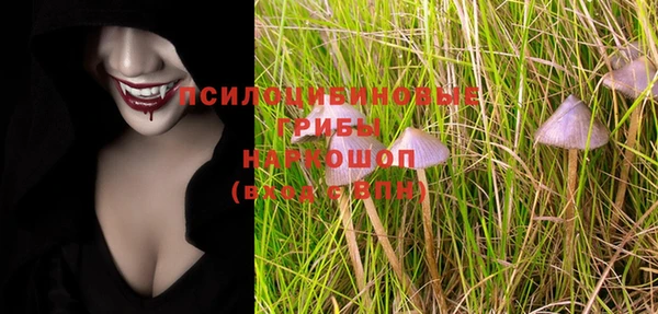apvp Няндома